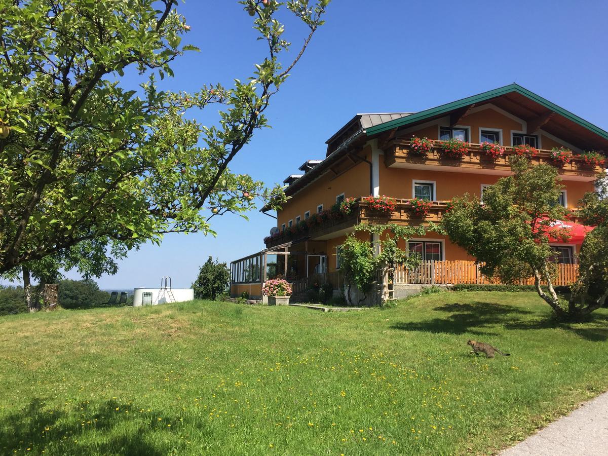 Pension David Puch bei Hallein Exteriör bild